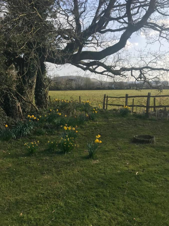 The Old Flower Field Hurstpierpoint المظهر الخارجي الصورة